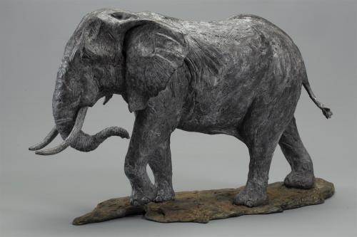 African Bull Elephant by Knox Field