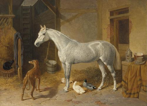 John Frederick Herring Snr. (1795-1865) - A dappled grey horse in a stable with a greyhound, ducks, and a cat